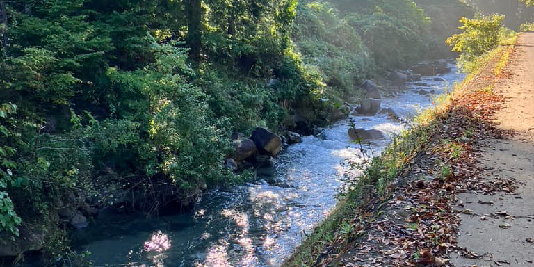 水源の村