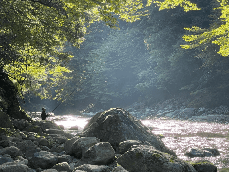 ギャラリー写真4